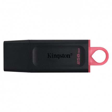 MEMORIA USB KINGSTON 256GB 3.2 DTX EXODIA